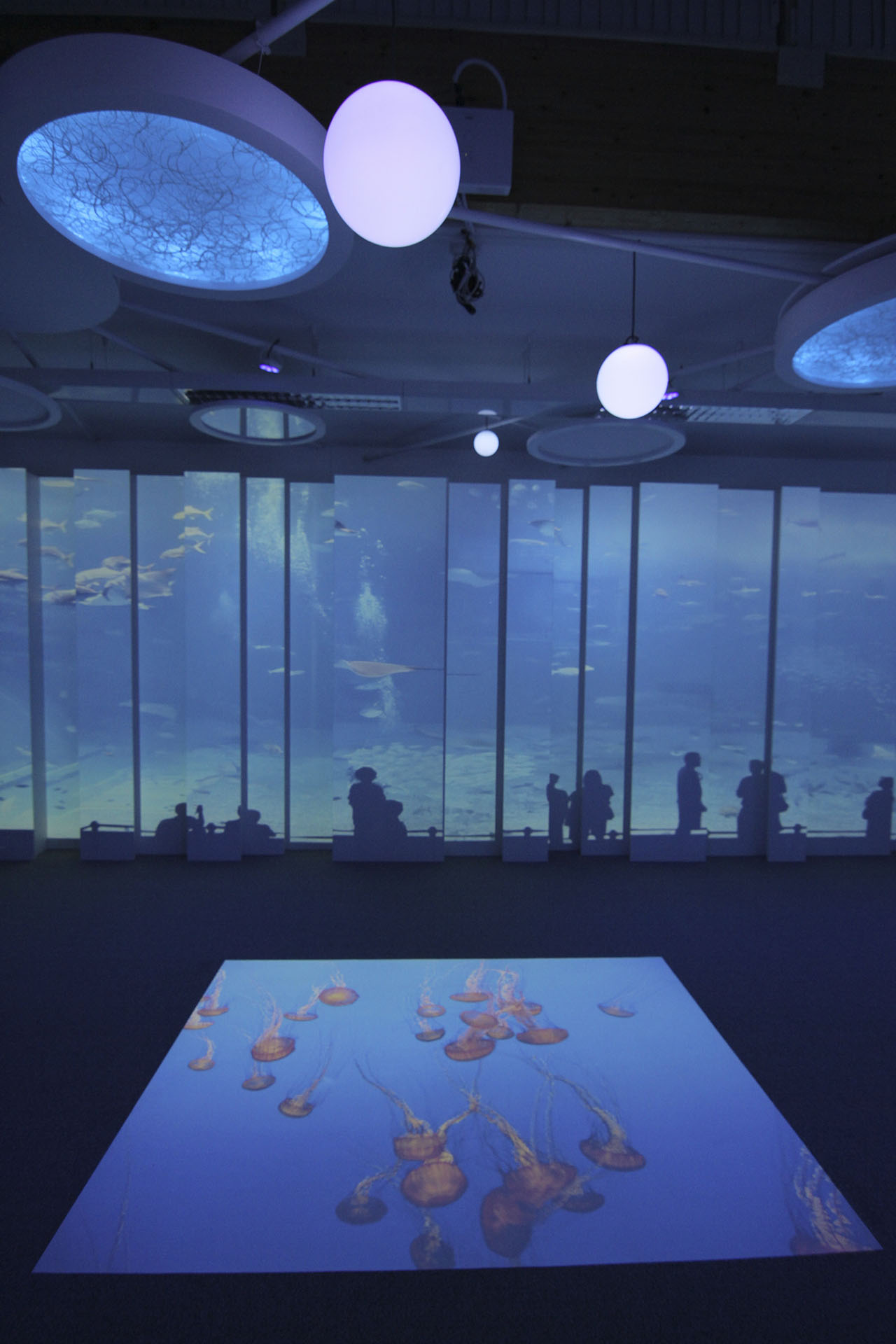 Interactive Floor in Educational Immersive Space installed by 4D Creative Ltd - http://www.4dcreative.co.uk